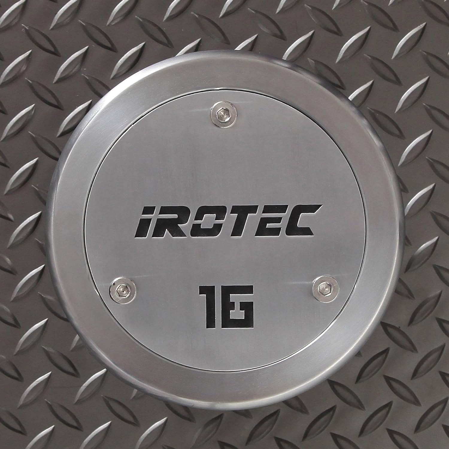 IROTEC ダンベル アイロテック 30kg プレート ダンベル プレート 12枚